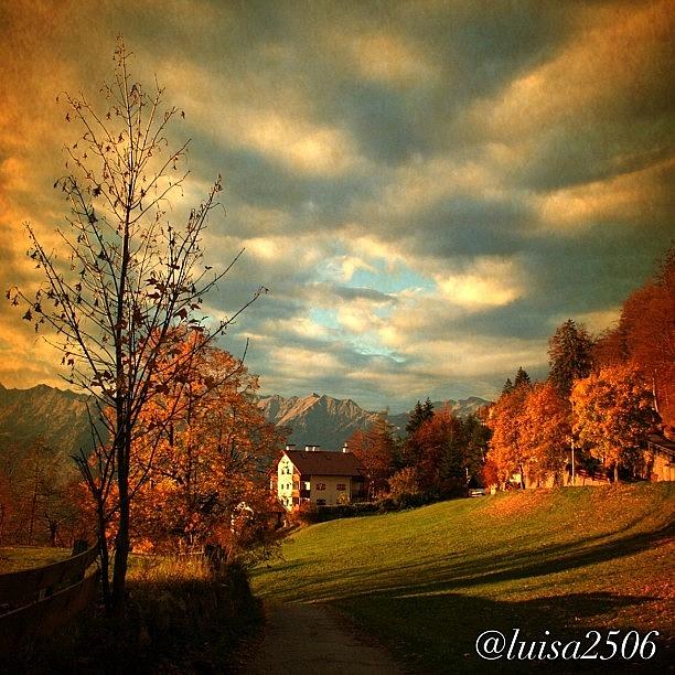 Nature Photograph - Autumn In South Tyrol #5 by Luisa Azzolini