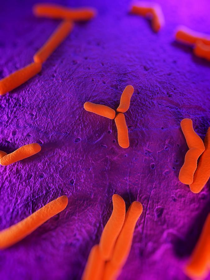 Bacteria, Conceptual Artwork Photograph by Sciepro - Pixels