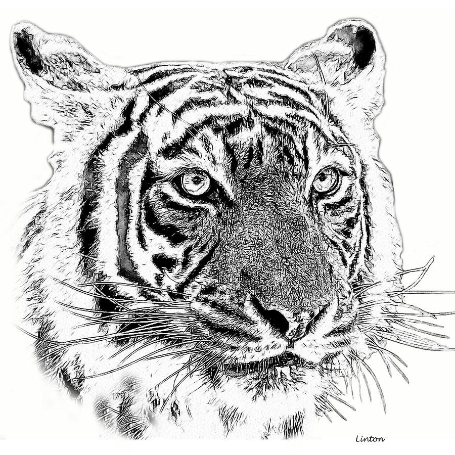 Bengal Tiger #5 Digital Art by Larry Linton