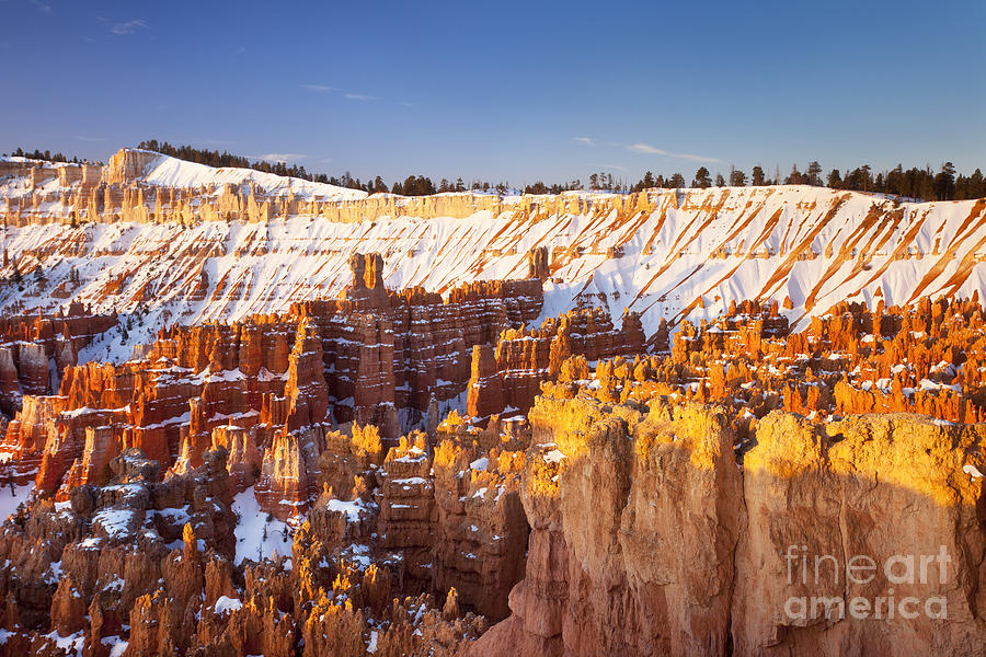 Bryce Canyon Morning II Photograph by Brian Jannsen