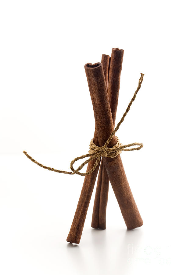 Cinnamon sticks #5 Photograph by Kati Finell