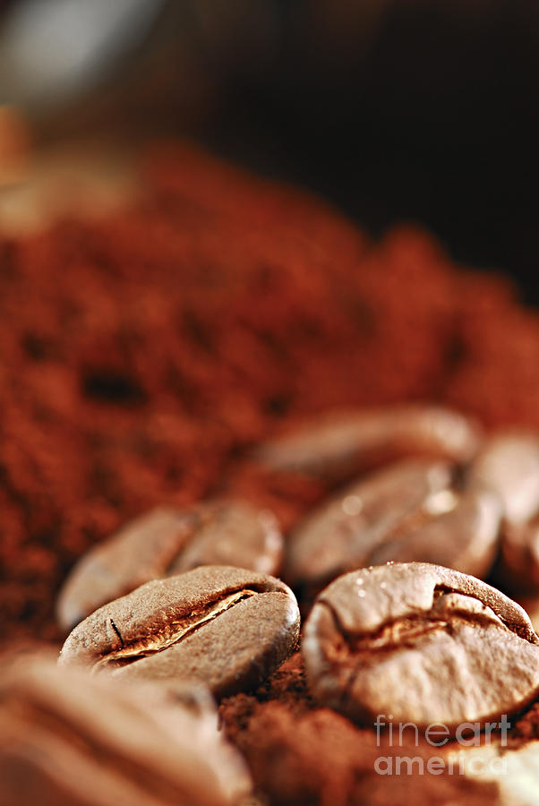 Coffee Photograph - Coffee beans and ground coffee 1 by Elena Elisseeva