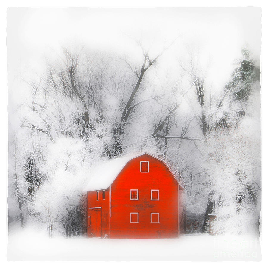 Country winter #2 Photograph by Gina Signore