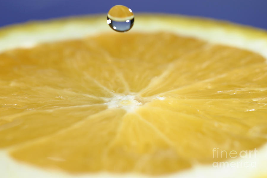 Drip Over An Orange #5 Photograph by Ted Kinsman