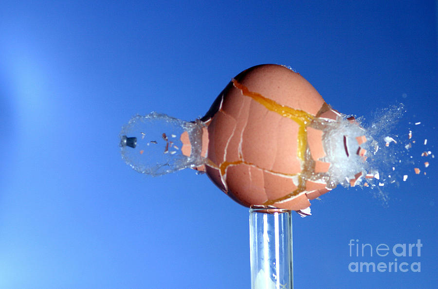 Egg Hit By A Bullet #5  by Ted Kinsman