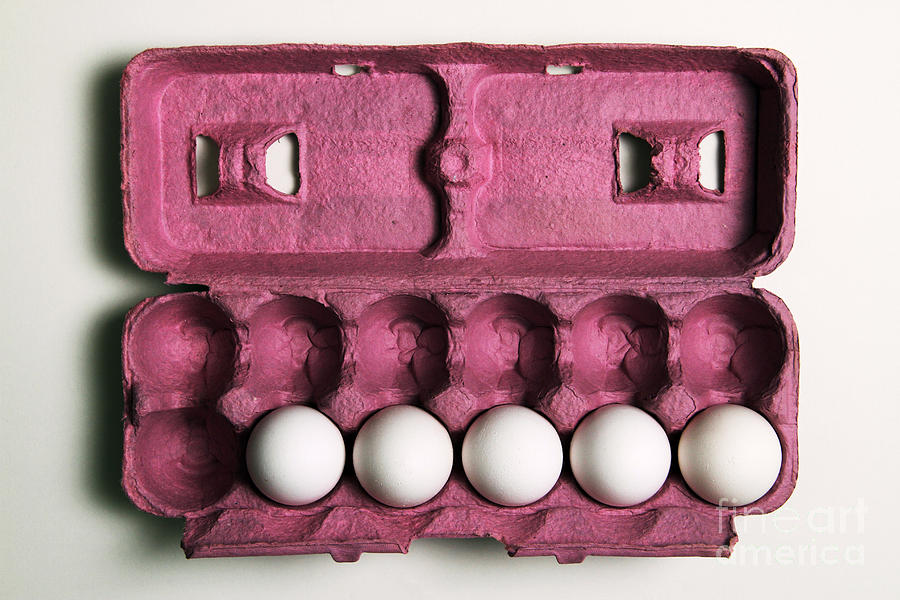 5 Eggs Photograph by Photo Researchers, Inc.
