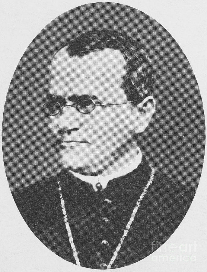 Gregor Mendel, Father Of Genetics #5 Photograph by Science Source