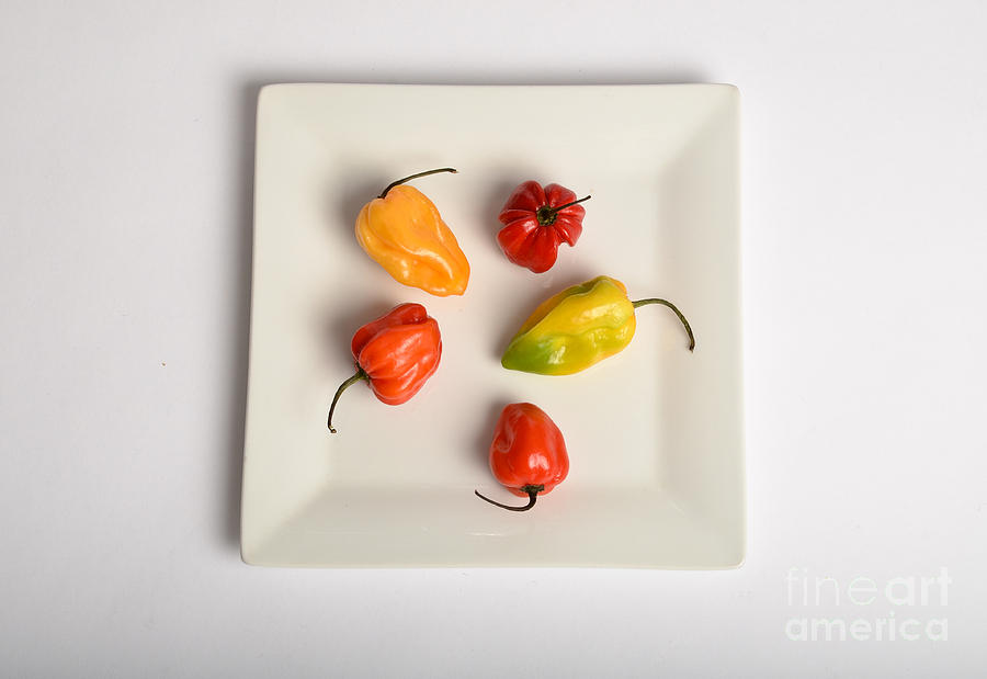 Habanero Chili Pepper #5 Photograph by Photo Researchers, Inc.