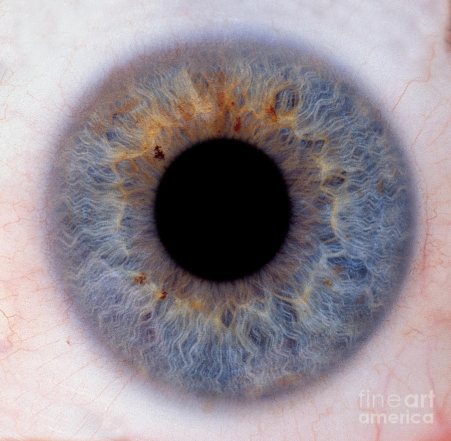 Human Eye #2 Photograph by Raul Gonzalez Perez