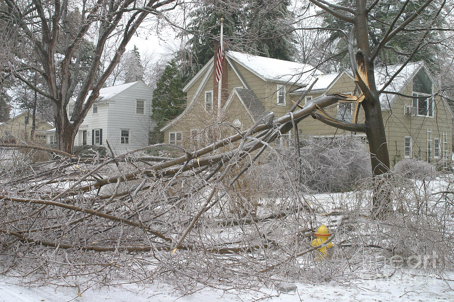 Ice Storm #5 Photograph by Ted Kinsman