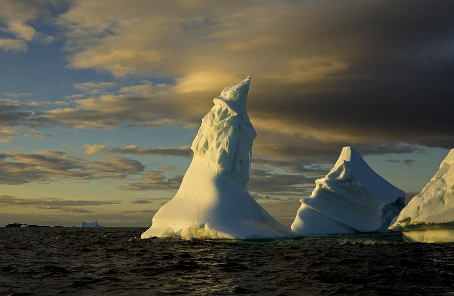 Icebergs Off Coast Of Fogo Island Photograph by John Sylvester - Fine ...
