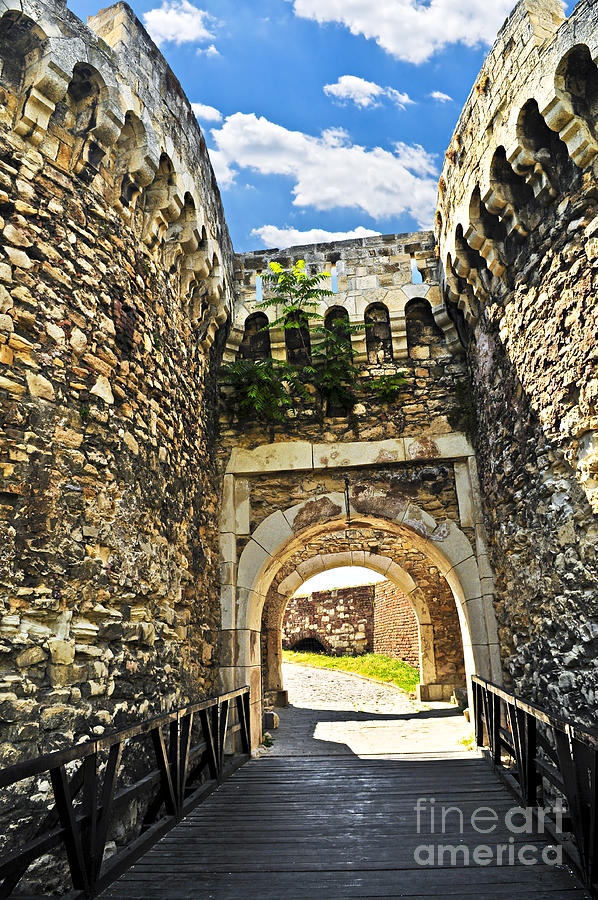Castle Photograph - Kalemegdan fortress in Belgrade 7 by Elena Elisseeva
