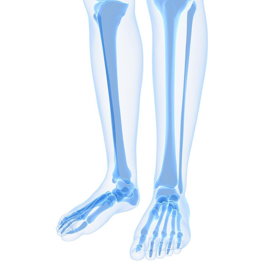 Leg Bones, Artwork #5 Digital Art by Sciepro