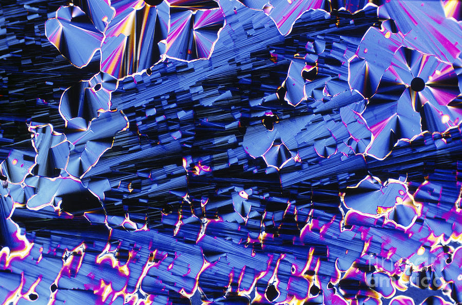 Liquid Crystalline Dna #5 Photograph by Michael W. Davidson
