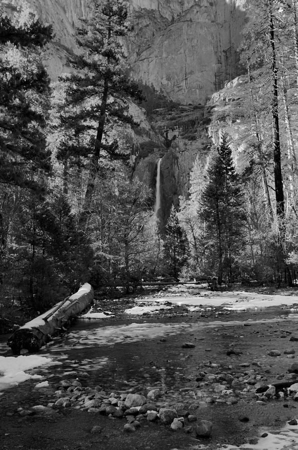 Yosemite National Park Photograph - Lower Yosemite Falls by Stephen Vecchiotti