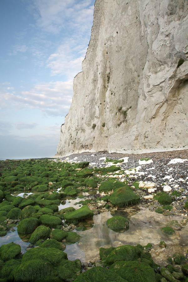 Morning at the White Cliffs of Dover #5 Photograph by Ian Middleton