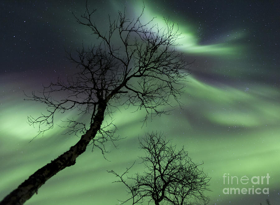 Nature Photograph - Northern Lights In The Arctic #5 by Arild Heitmann