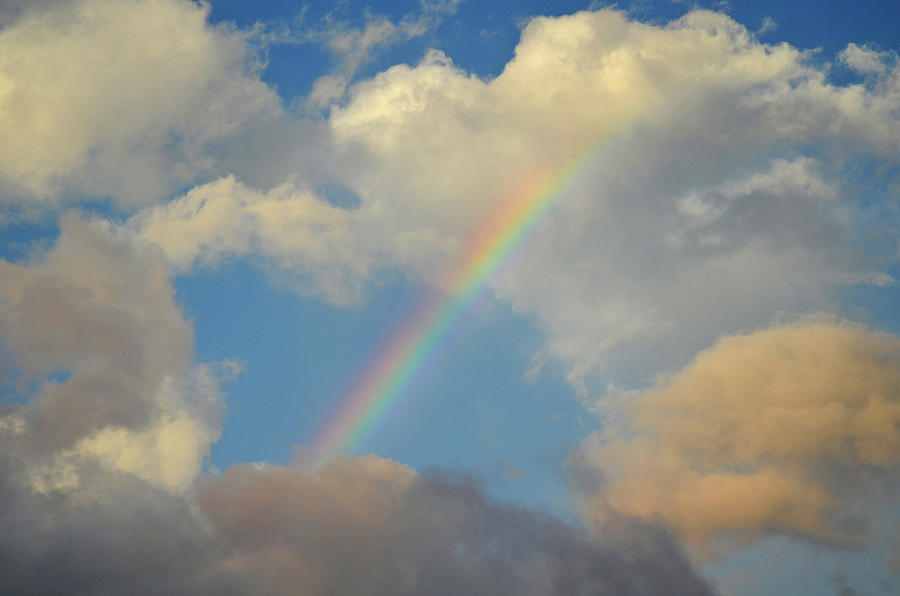 5- Rainbow In Paradise Photograph by Joseph Keane