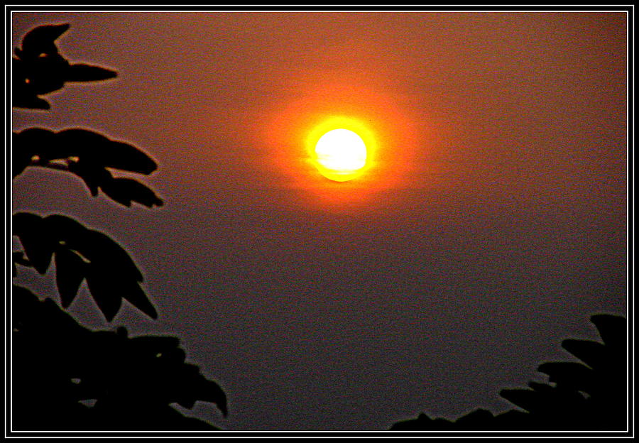 Raising Sun #5 Photograph by Anand Swaroop Manchiraju