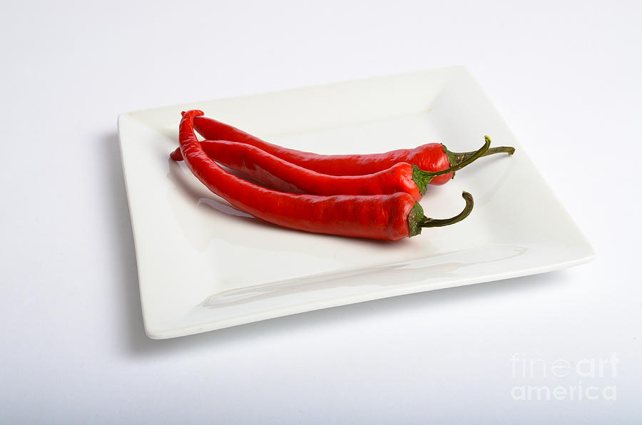 Red Chili Pepper #5 Photograph by Photo Researchers, Inc.
