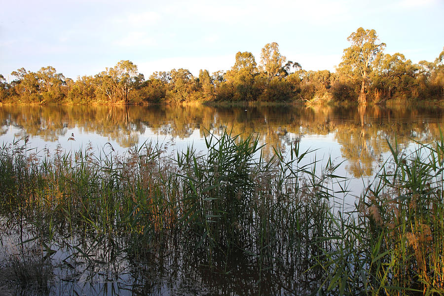 River Murray Reflections Australia Photograph by Carole-Anne Fooks - Pixels