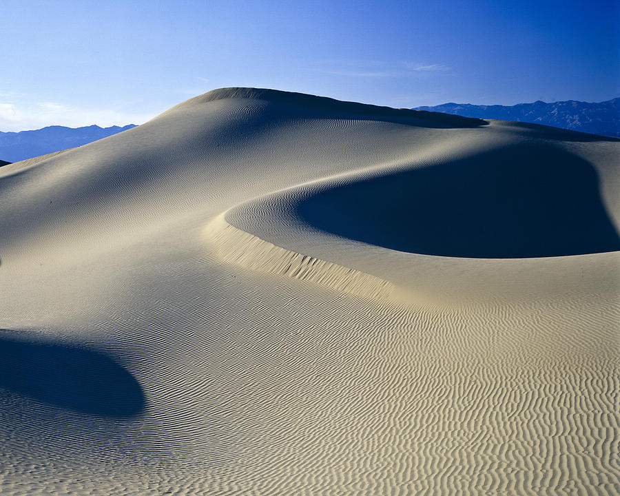 Sand Dune Death Valley #9 Photograph by Joe  Palermo