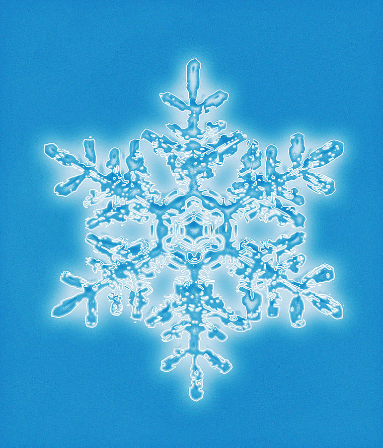 Christmas Photograph - Snowflake #5 by Mehau Kulyk