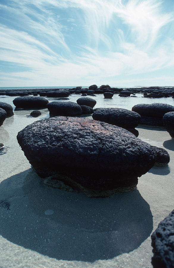 Nature Photograph - Stromatolites #5 by Georgette Douwma