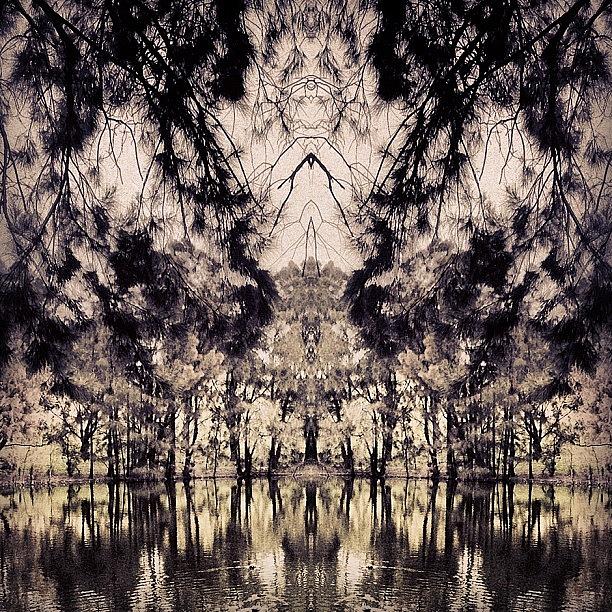 Abstract Photograph - #tagstagram .com #abstract #symmetry #5 by Dan Coyne