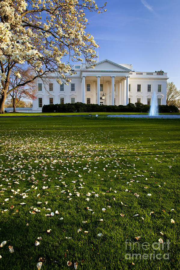 The White House #5 Photograph by Brian Jannsen