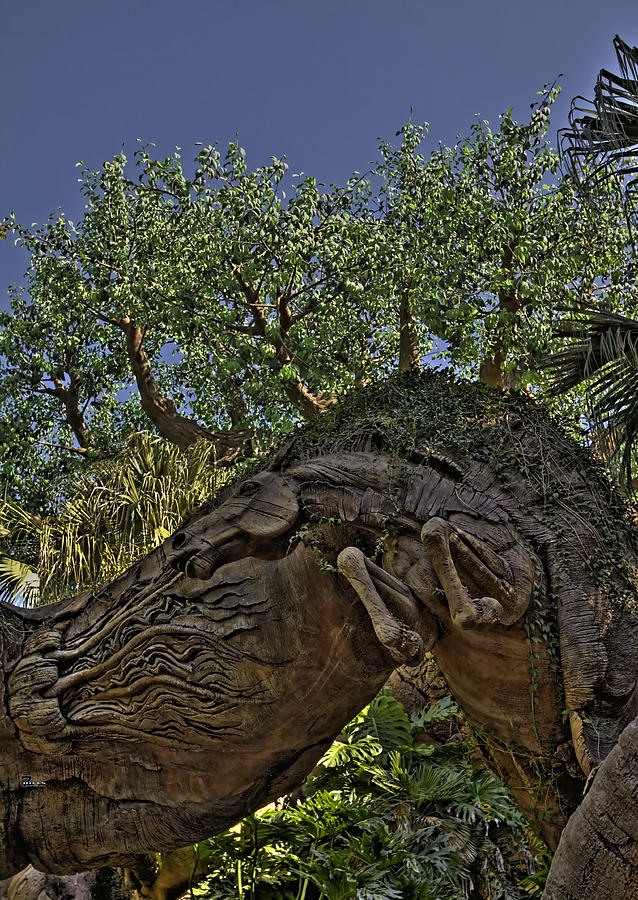 Tree Of Life HDR #5 Photograph by Jason Blalock