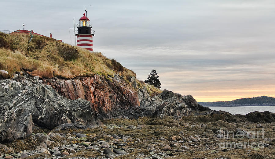 West Quoddy Head Lighthouse Photograph - West Quoddy Head Lighthouse #5 by Jack Schultz