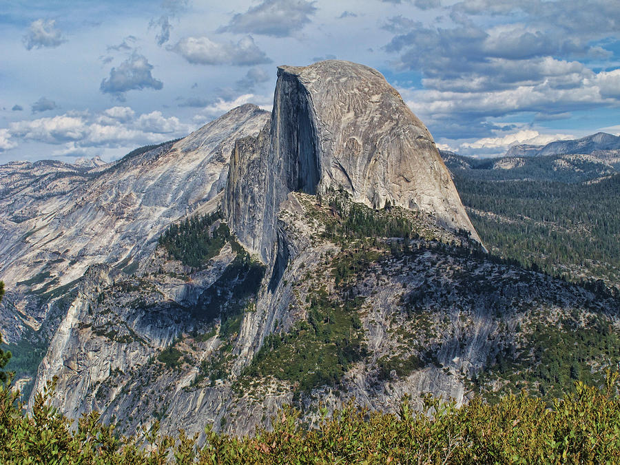 Yosemite National Park #5 Photograph by Helaine Cummins