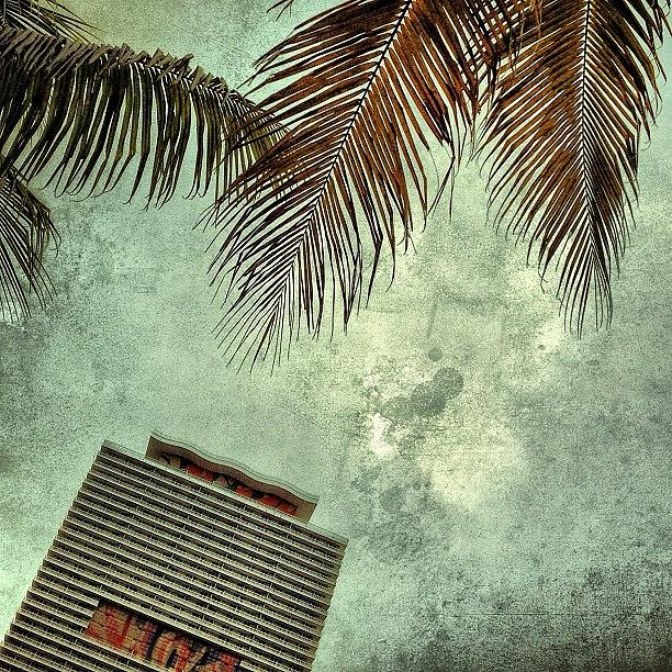 Miami Photograph - 50 Biscayne - Miami by Joel Lopez