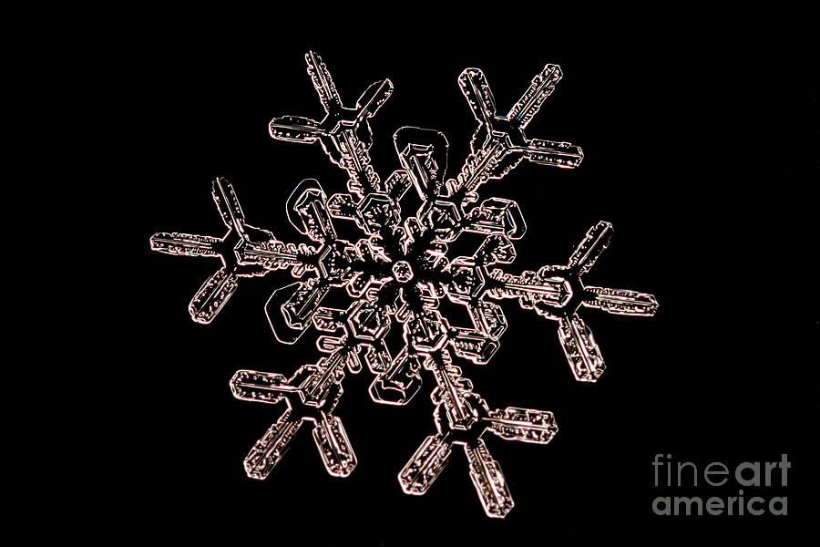 Snowflake #50 Photograph by Ted Kinsman