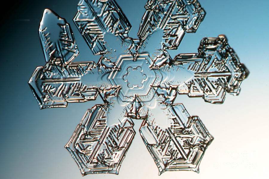 Snowflake #52 Photograph by Ted Kinsman