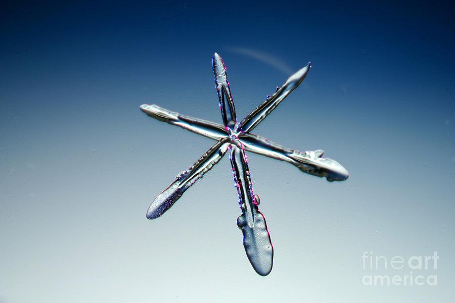 Winter Photograph - Snowflake #53 by Ted Kinsman