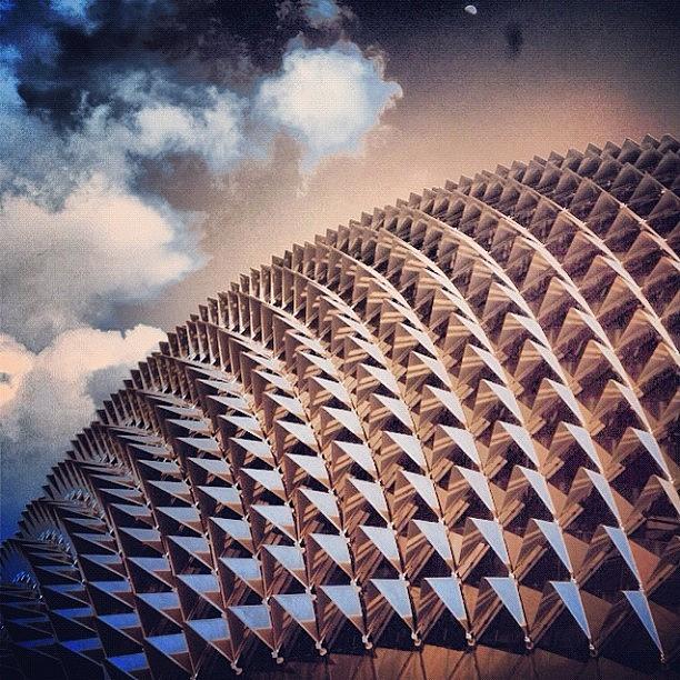 Pattern Photograph - Instagram Photo #531342603110 by Tommy Tjahjono Pattern Photograph - Instagram Photo #531342603110 by Tommy Tjahjono