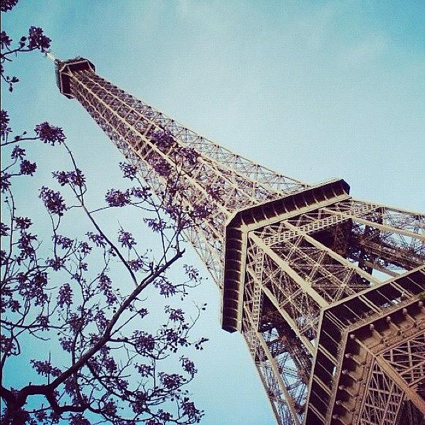 Paris Photograph - Instagram Photo #581344797660 by Sahar Sabziha