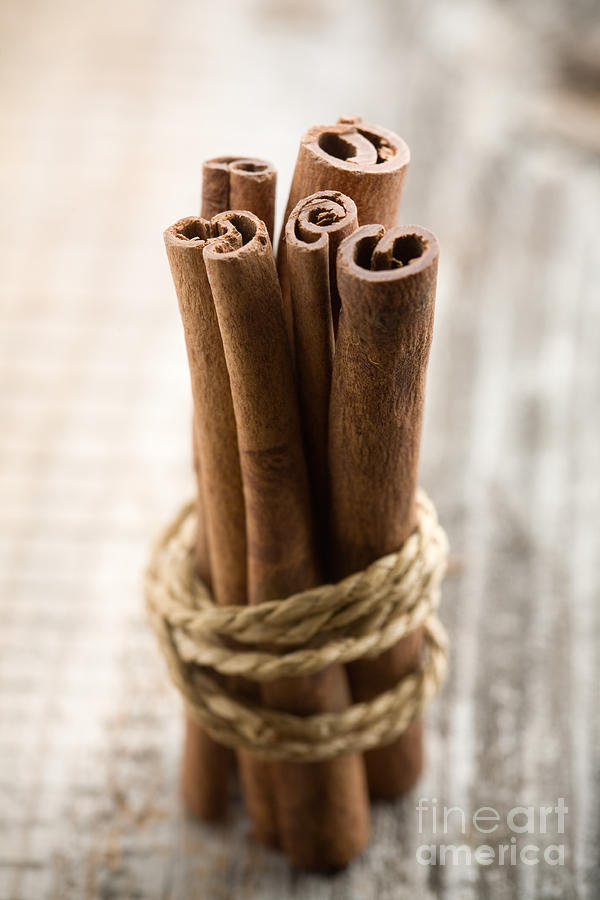 Cinnamon sticks #6 Photograph by Kati Finell