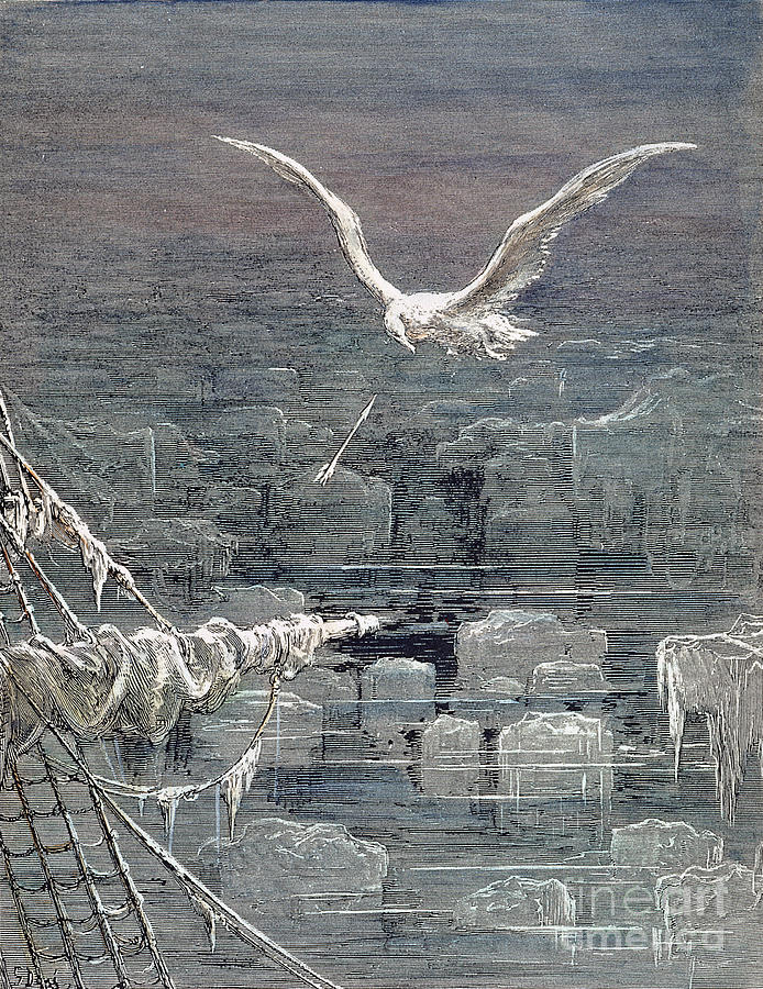 Ancient Mariner #17 Drawing by Gustave Dore