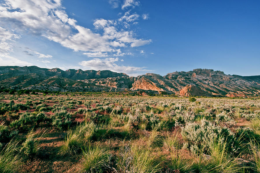 dinosaur np