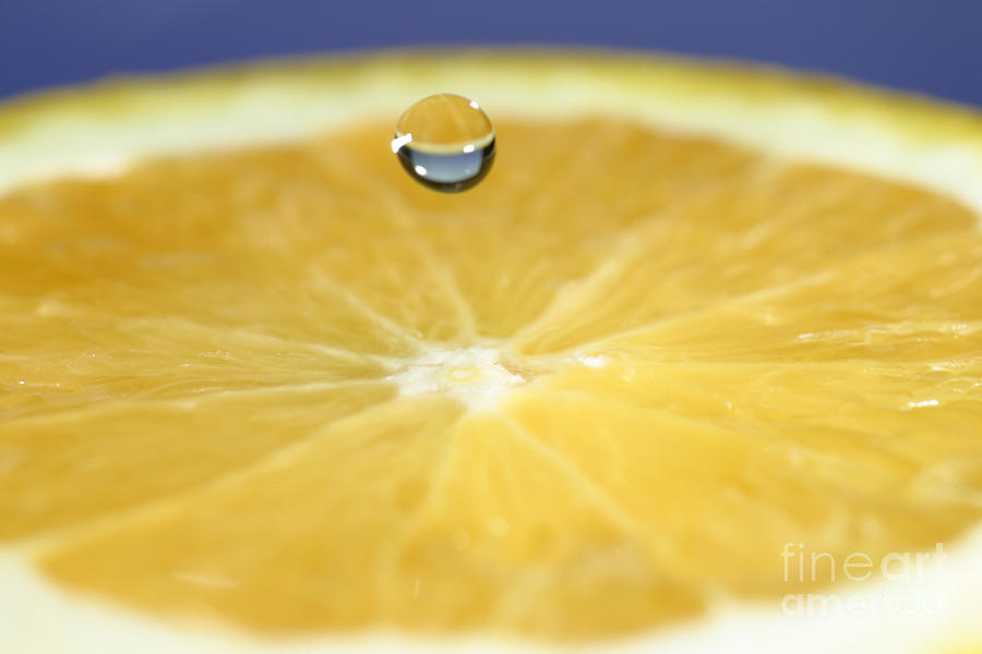 Drip Over An Orange #6  by Ted Kinsman