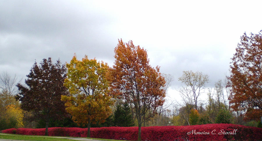 Fall Colors Collection - Michigan #6 Photograph by Monica C Stovall