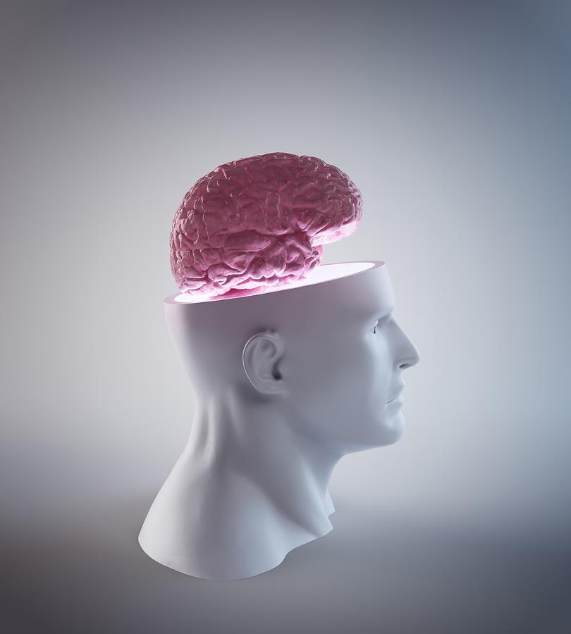 Human Brain, Artwork #6 Digital Art by Andrzej Wojcicki
