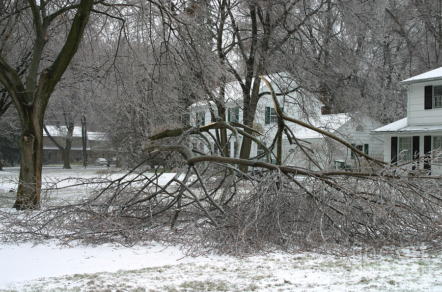 Ice Storm #6 Photograph by Ted Kinsman