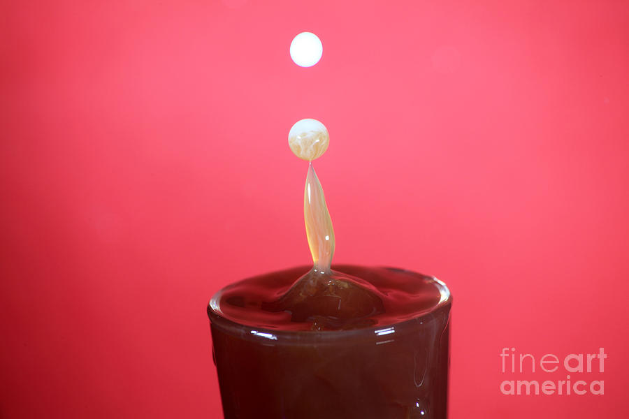 Coffee Photograph - Milk Splash #6 by Ted Kinsman