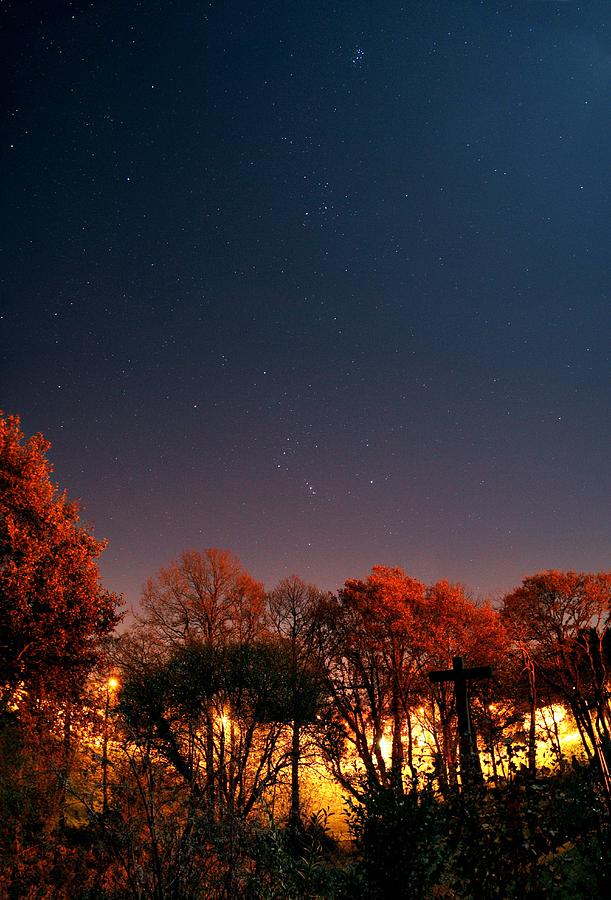 Tree Photograph - Night Sky #6 by Laurent Laveder