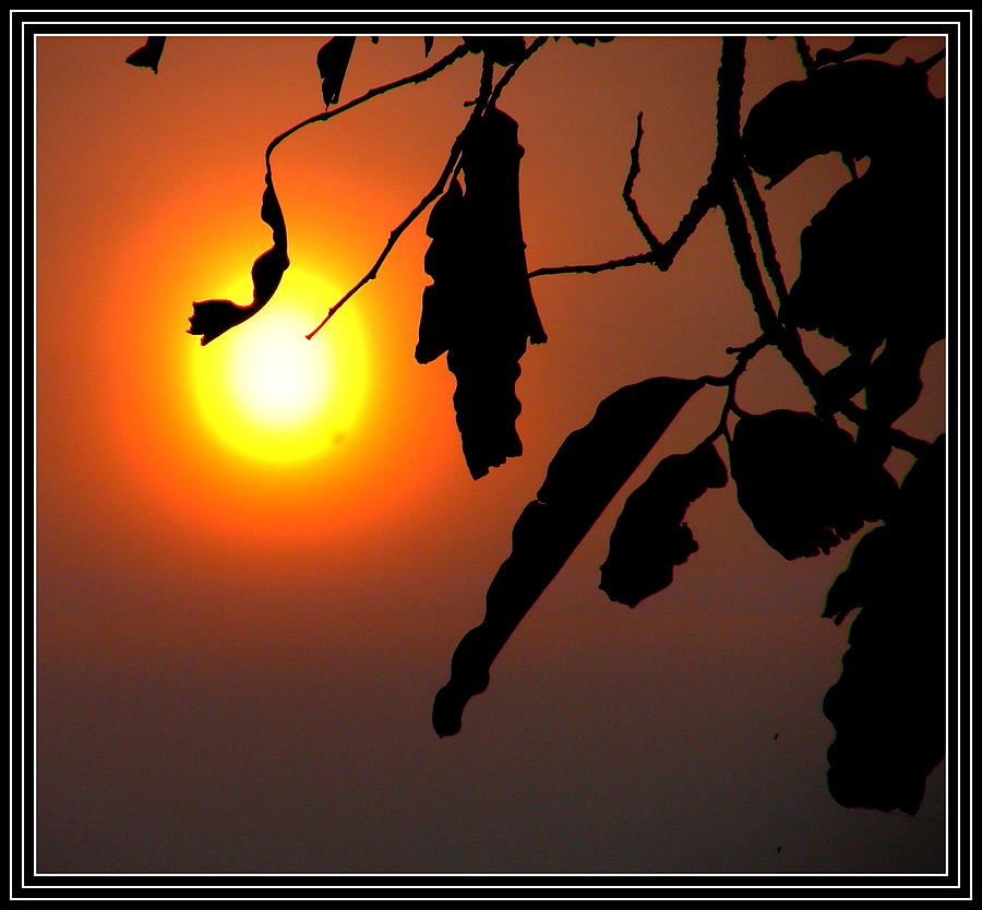Raising Sun #6 Photograph by Anand Swaroop Manchiraju