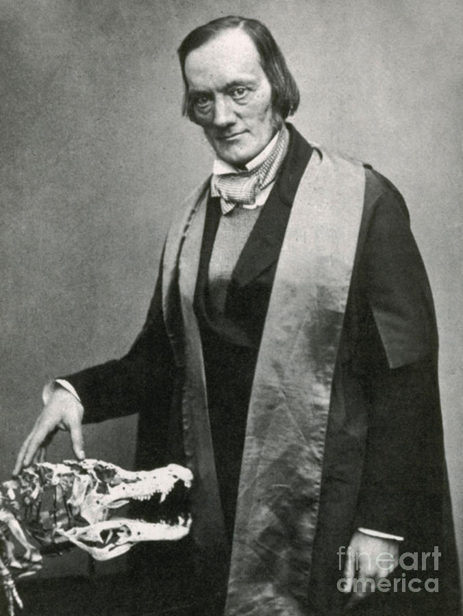 Richard Owen, English Paleontologist #6 Photograph by Science Source
